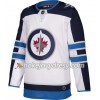 Pánské Hokejový Dres Winnipeg Jets Blank Adidas Bílá Authentic